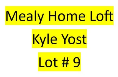 Lot 9 : Mealy Home Loft (Kyle Yost) - 2 bird kit