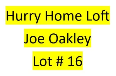 Lot 16 : Hurry Home Loft 3 - 2 bird kit