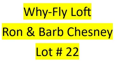 Lot 22 : Why-Fly Loft (Ron & Barb Chesney) - 2 bird kit