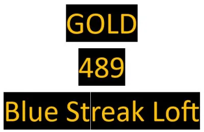 489 Gold - Bred by Blue Streak Loft